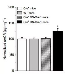 玩彩网·「中国区」官方网站