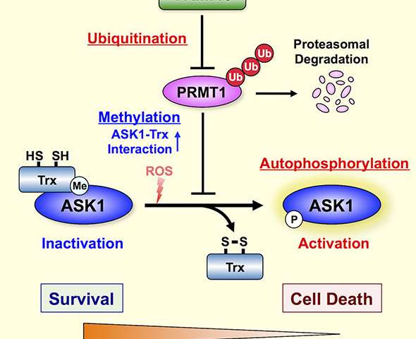 玩彩网·「中国区」官方网站