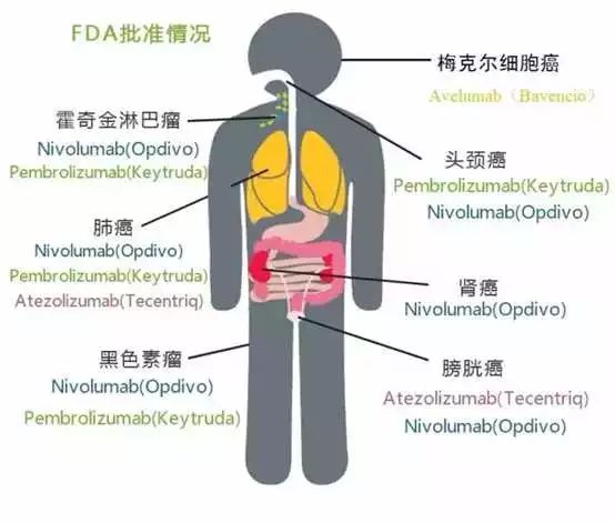 玩彩网·「中国区」官方网站