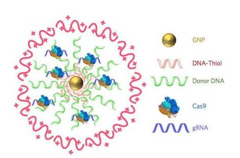 玩彩网·「中国区」官方网站