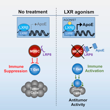 玩彩网·「中国区」官方网站