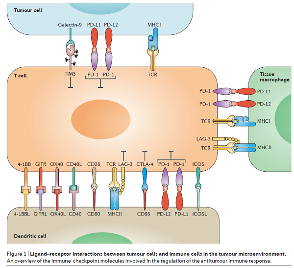 玩彩网·「中国区」官方网站