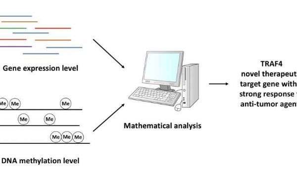 玩彩网·「中国区」官方网站