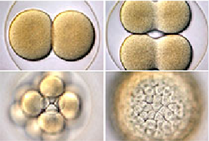 玩彩网·「中国区」官方网站