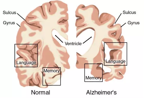 玩彩网·「中国区」官方网站