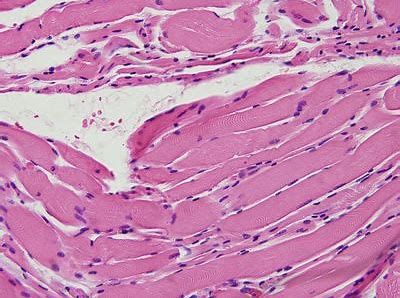 玩彩网·「中国区」官方网站