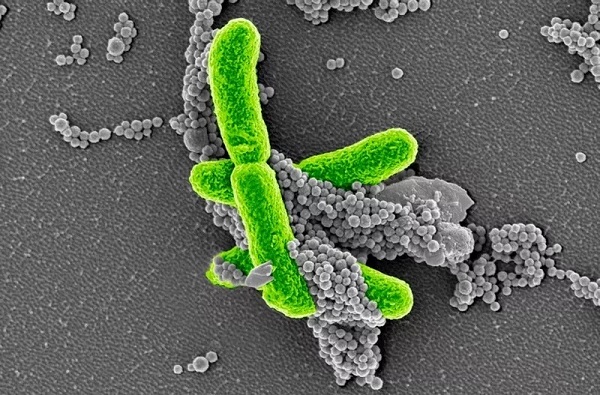 玩彩网·「中国区」官方网站