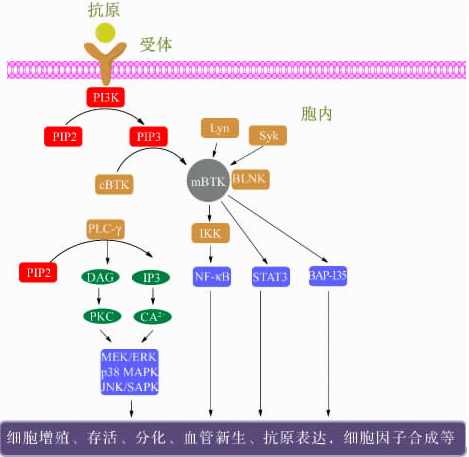 玩彩网·「中国区」官方网站