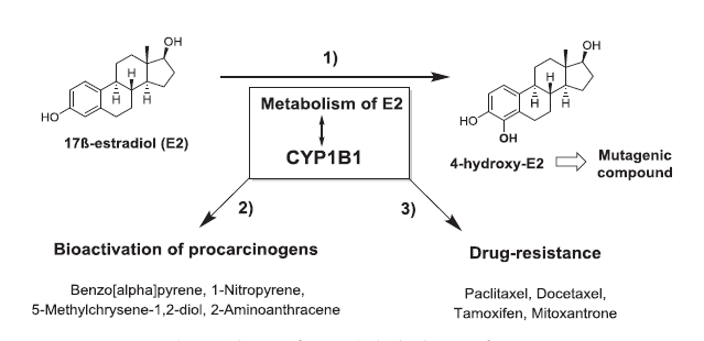 玩彩网·「中国区」官方网站