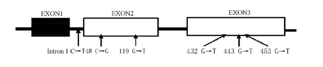 玩彩网·「中国区」官方网站