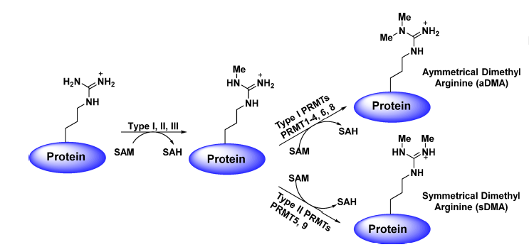 玩彩网·「中国区」官方网站