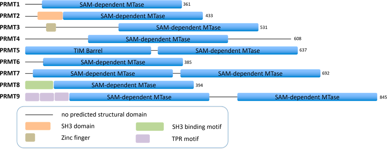 玩彩网·「中国区」官方网站