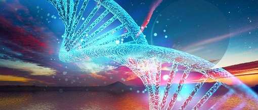 玩彩网·「中国区」官方网站