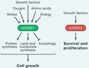 玩彩网·「中国区」官方网站
