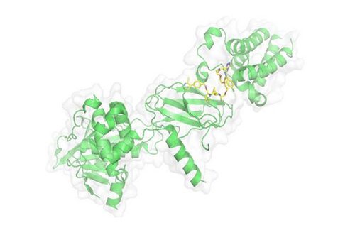 PROTAC手艺，，，马兴泉