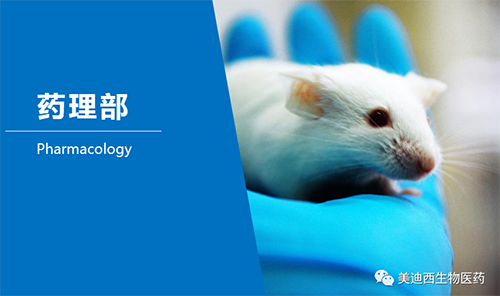 玩彩网药理部开发了肺癌、结肠癌、胃癌等12种PDX模子。。。。