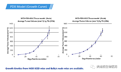 玩彩网PDX药效模子