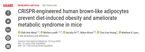 Science|聚焦CRISPR：刷新脂肪细胞，，，，“躺瘦”可能要成真了？？？