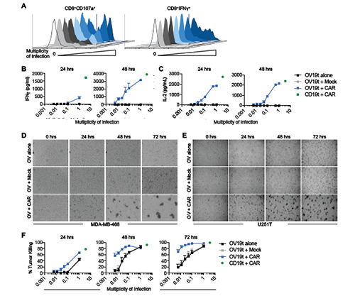 玩彩网·「中国区」官方网站