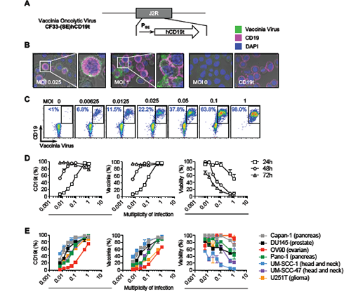 玩彩网·「中国区」官方网站