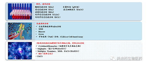 玩彩网生物手艺药物剖析部服务内容