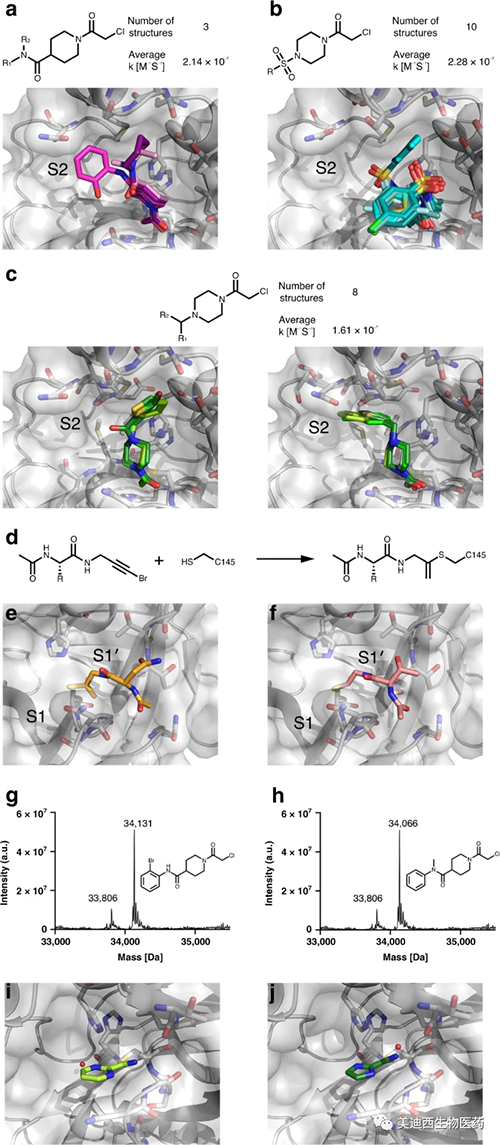 共价片断锚定在Cys145处并取样正构M pro连系袋的差别区域
