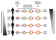 事实为什么ICB疗法在年轻女性肿瘤患者体内收效甚微？？