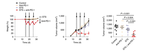 与比照组及仅使用PD-1疗法的模子小鼠比照，，，，，，接纳短期饥饿配合PD-1疗法的393P细胞同源移植肿瘤小鼠体内的肿瘤体积有了显着的缩短。。