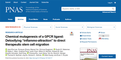 天下首创：药物将干细胞指导至受损部位，，，，提高其愈合能力！