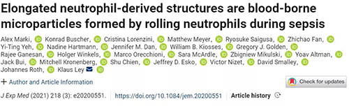 一种神秘颗粒被发明了 ！它能否成为败血症早筛标记物？？