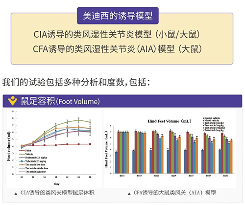 玩彩网诱导的类风湿性枢纽炎模子
