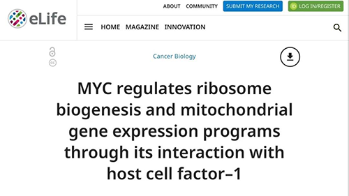 可以“融化”肿瘤的卵白质，，，，，，你一定没有听说过！