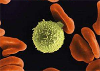 Science子刊：一种FDA批准的抗腹泻药物可有用反抗化疗的耐药性