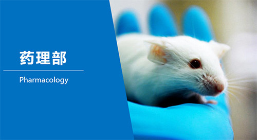 玩彩网临床前研究-药理部