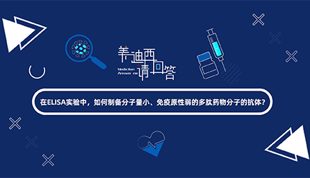 在ELISA实验，，怎样制备分子量小、免疫原性弱的多肽药物分子的抗体？？？