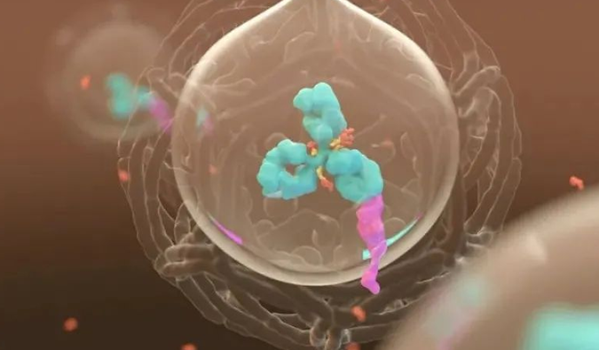 美研 | 玩彩网带您相识ADC玄妙之处