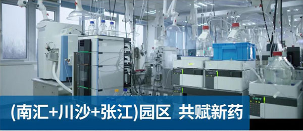 玩彩网南汇、川沙和张江园区共赋新药.jpg