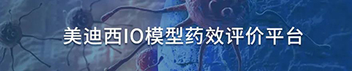 玩彩网IO模子药效评价平台.jpg