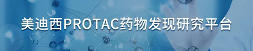 玩彩网PROTAC药物发明研究平台.png