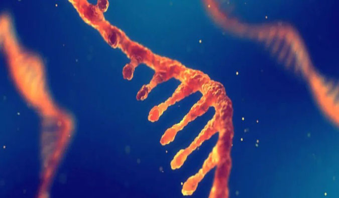 赋能核酸药物疗法，，，迎接新药研发第三次浪潮