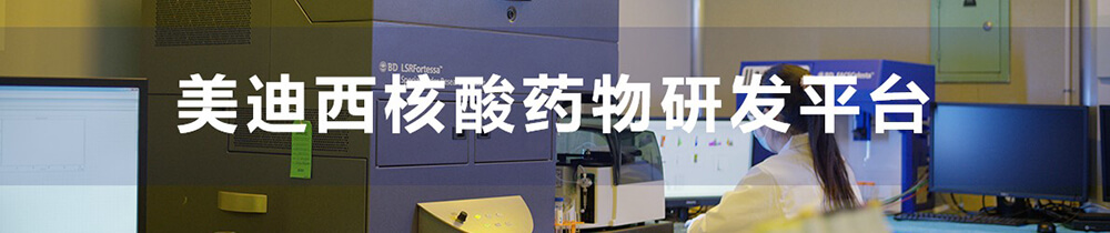 玩彩网核酸药物研发平台-1.jpg