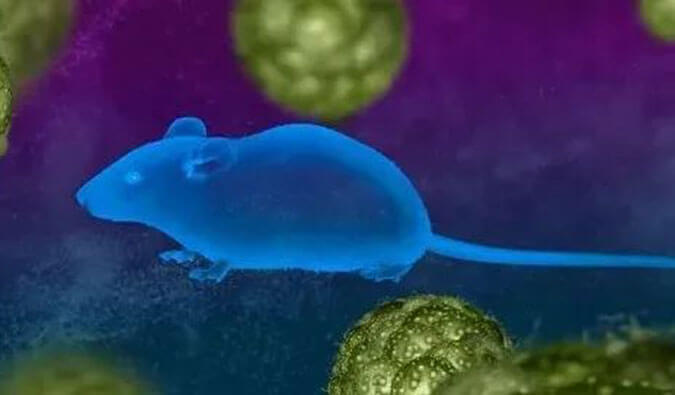 玩彩网药效服务赋能First-in-Class泛素化抑制剂研发