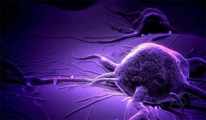 玩彩网助力轩竹生物研发的完全敲除岩藻糖的双抗ADC药物KM501获批临床