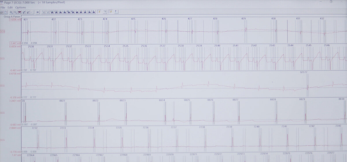 玩彩网 SEND 数据转换平台