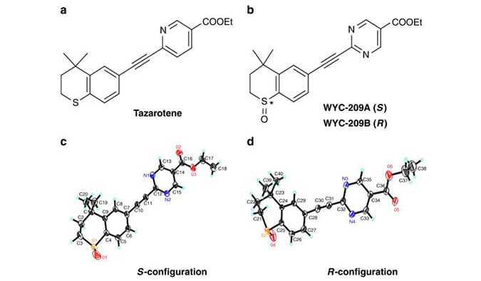 WYC-209可抑制恶性小鼠玄色素瘤肿瘤再生细胞增殖，，，，，本研究中SPR通过玩彩网使用Biacore 8K举行
