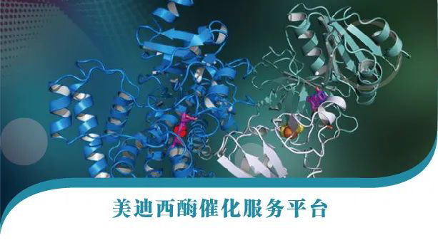 玩彩网酶催化服务平台.jpg