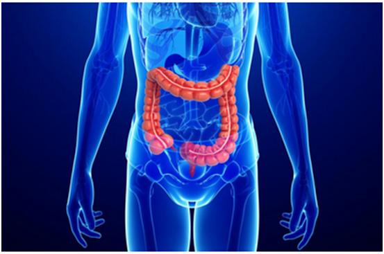 玩彩网一站式助力 | 宝太生物首其中美双报立异药获批