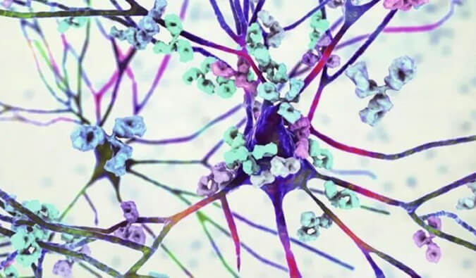 玩彩网镇痛药效评价模子