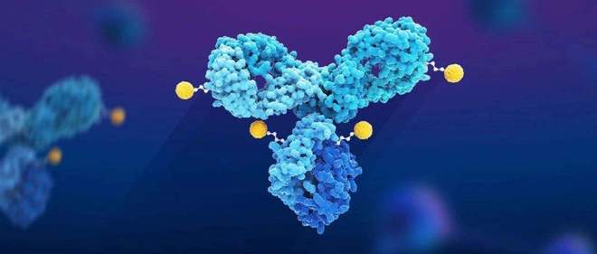 天下肿瘤日聚焦：AACR年会引领全球肿瘤新药趋势，，，国产药引领风潮