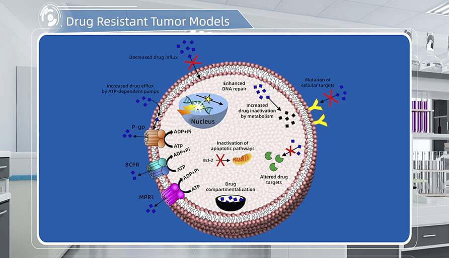 肿瘤耐药机制是什么？？